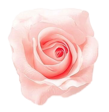 flower-Red